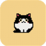 本喵王饿了铲屎官给我吃的