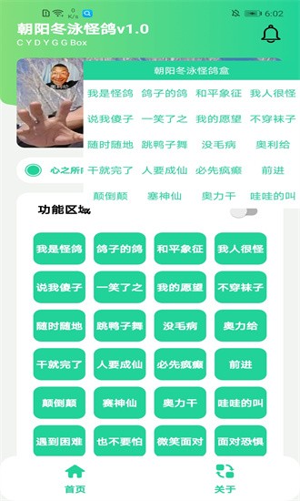 冬泳怪鸽盒