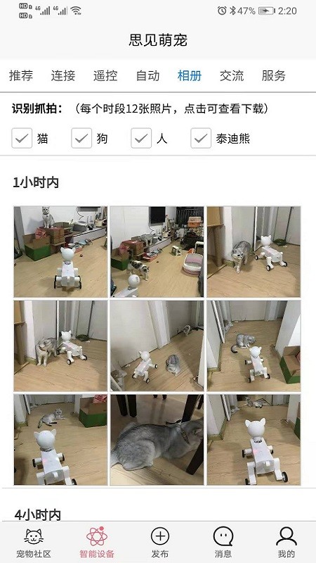 思见萌宠官方版
