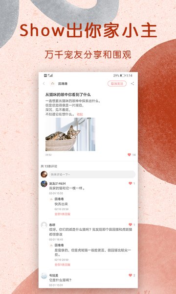 宠物君