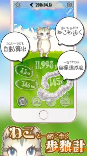 ねこと歩く