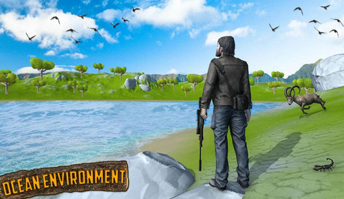 鸟类猎人狙击手 鸟类猎人狙击手