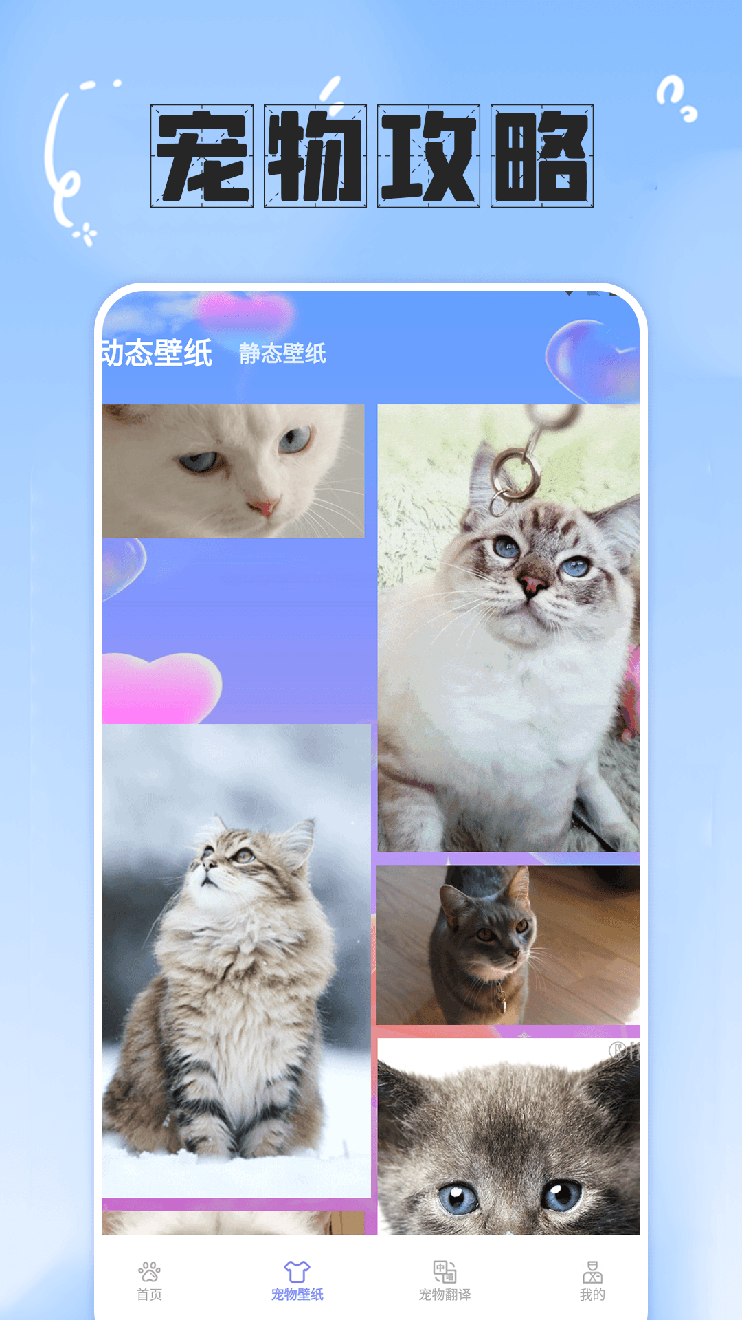 简喵大师