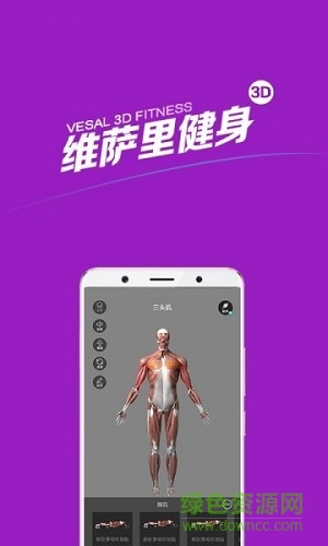 维萨里健身