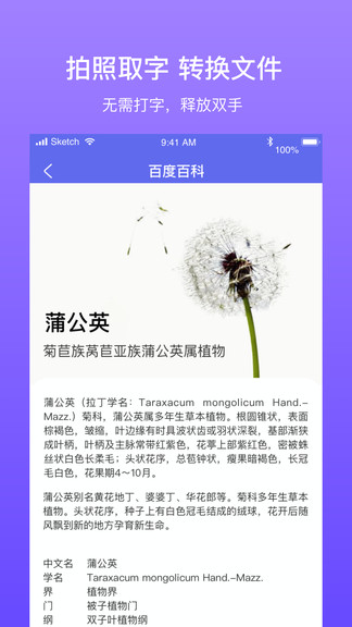 拍拍识图
