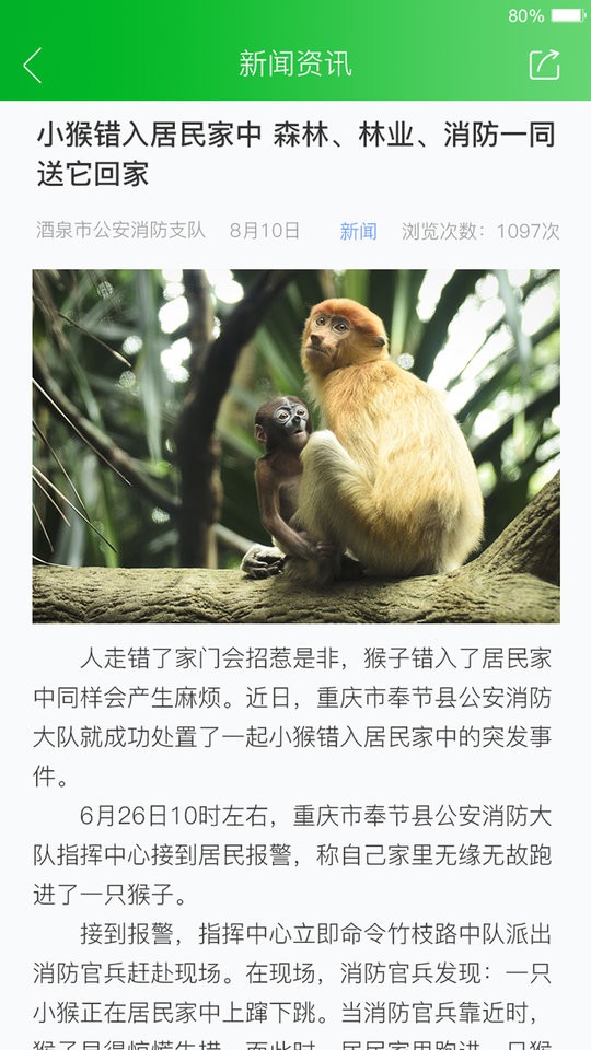 人人安