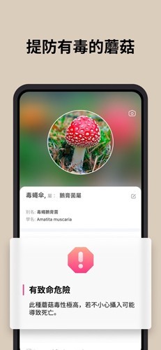 二维码手机扫一扫