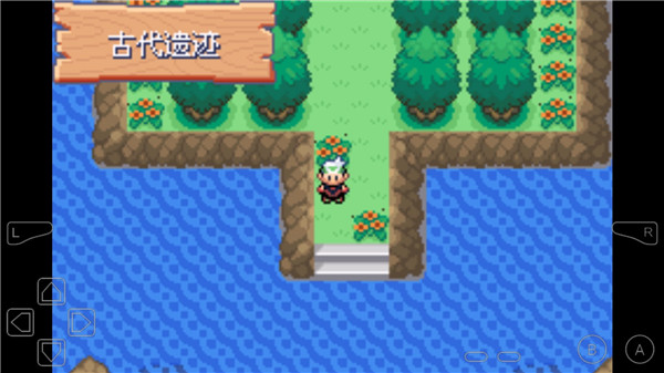 口袋妖怪永恒之沫 口袋妖怪永恒之沫