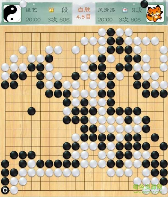 围棋软件