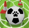 猫足球训练Cats Football Training