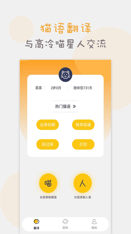 猫语猫咪翻译器
