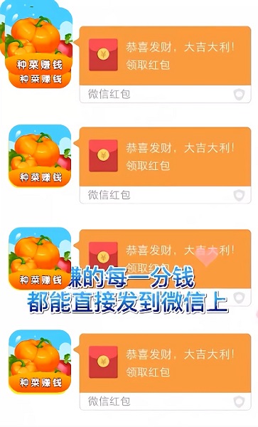 我的菜园