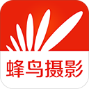 蜂鸟摄影