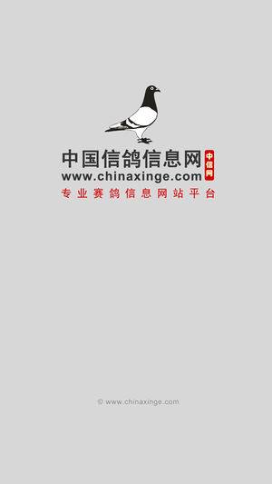 中国信鸽信息网