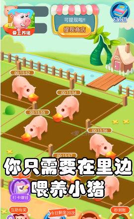 爱上养猪