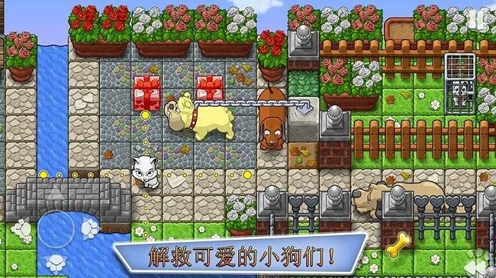 拯救小狗
