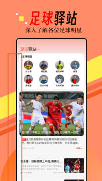 实况比分