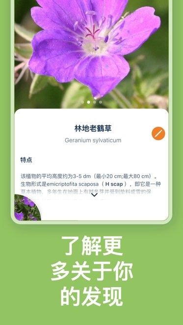 floraincognitaapp自动植物识别免费版