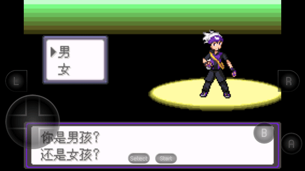 口袋妖怪黑白2修改器