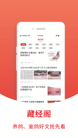搜鸽天下一查信鸽成绩