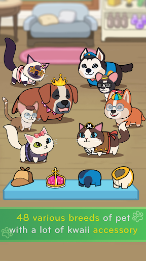 猫和