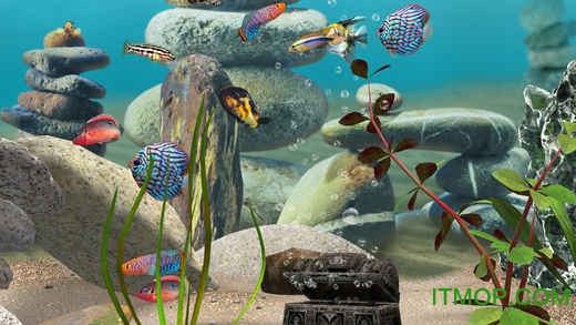 我的水族箱3D(MyLake 3D Aquarium)