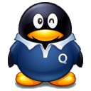 qq显ip