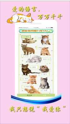 米族人猫交流器