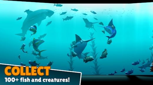 Creatures of the Deep 免费版
