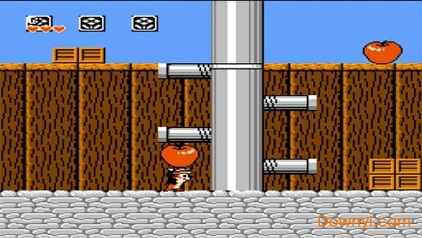 悟饭-松鼠大战 悟饭-松鼠大战