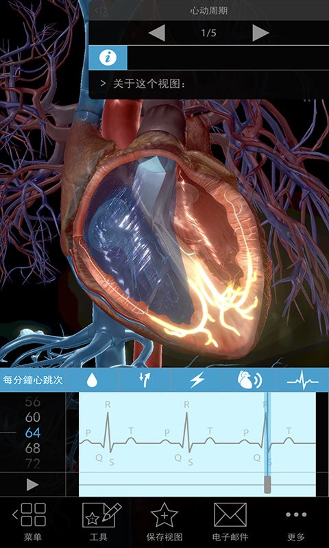 3D生理和病理学医学通