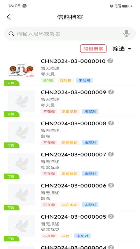 信鸽云