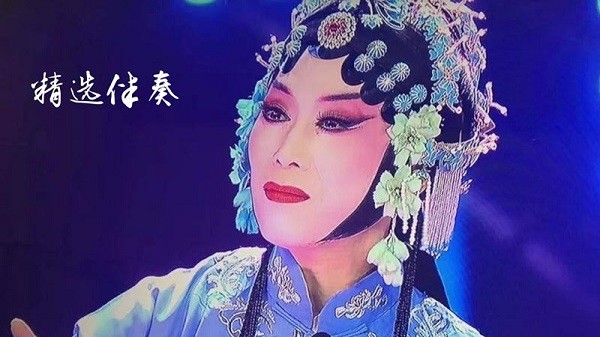 黄梅迷