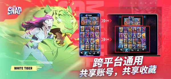 SNAP安装器