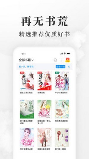 盛世小说10福利
