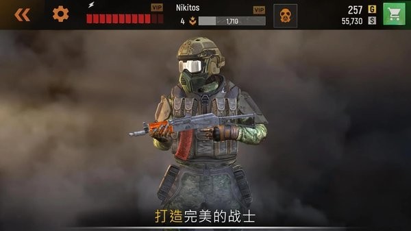 前锋专区3d在线射击手游(striker zone)