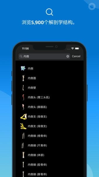 vet anatomy解剖软件中文版