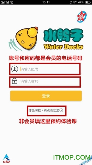 水鸭子