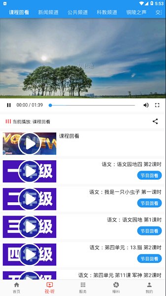 豚云