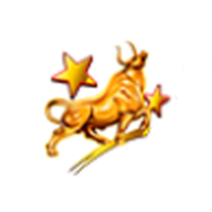 星速策略