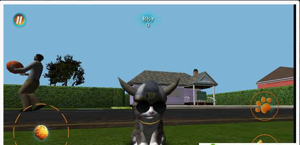 真实小猫3d模拟