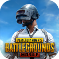 地铁逃生测试服中文版（BETA PUBG MOBILE）