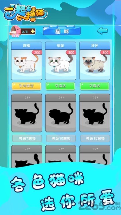 撸猫
