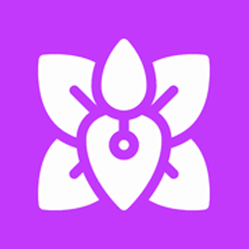 小兰君