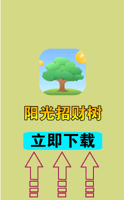 阳光招财树