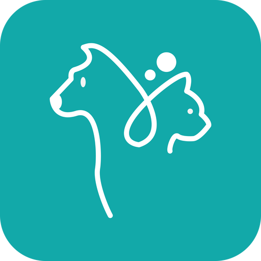云宇猫狗翻译app
