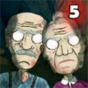 Granny and Grandpa 5 Origin安装器