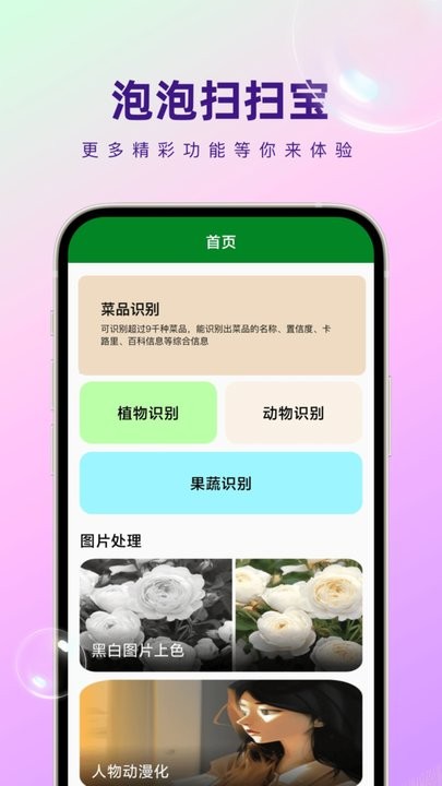 扫宝