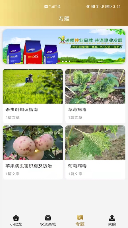 小肥龙