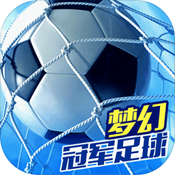 冠军足球物语2修改